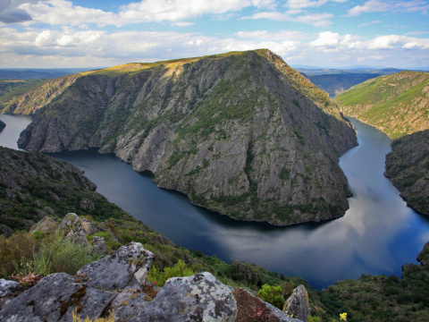 Vinos Destacados en la Ribeira Sacra (Ourense): 3 Bodegas con Denominación de Origen que puedes visitar 