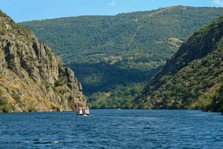 5 BODEGAS IMPRESCINDIBLES PARA VISITAR EN LA RIBEIRA SACRA DE OURENSE.